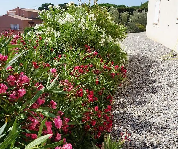 Lone Star House Sainte-Maxime