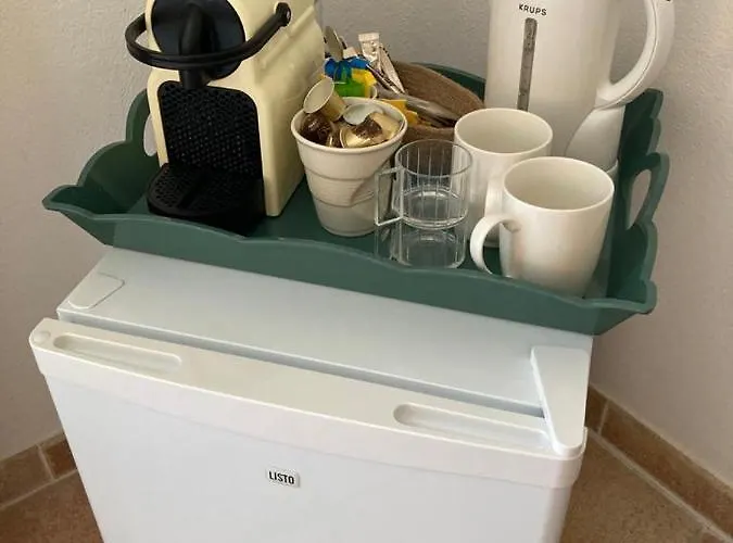 Lone Star House 圣马克西姆