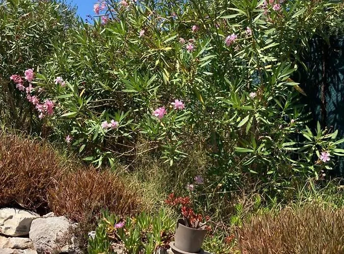 Lone Star House Bed & Breakfast 4*