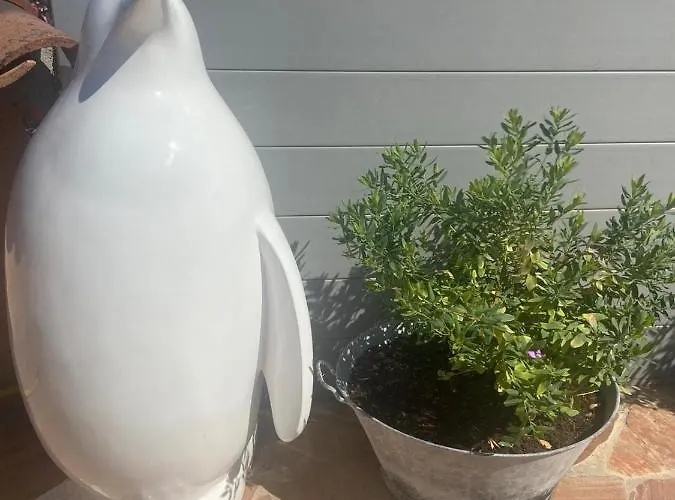 Lone Star House 住宿加早餐酒店