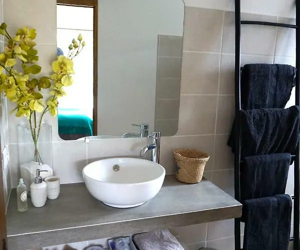 住宿加早餐酒店 Lone Star House